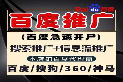 百度竞价代理操作手册：成功案例分析